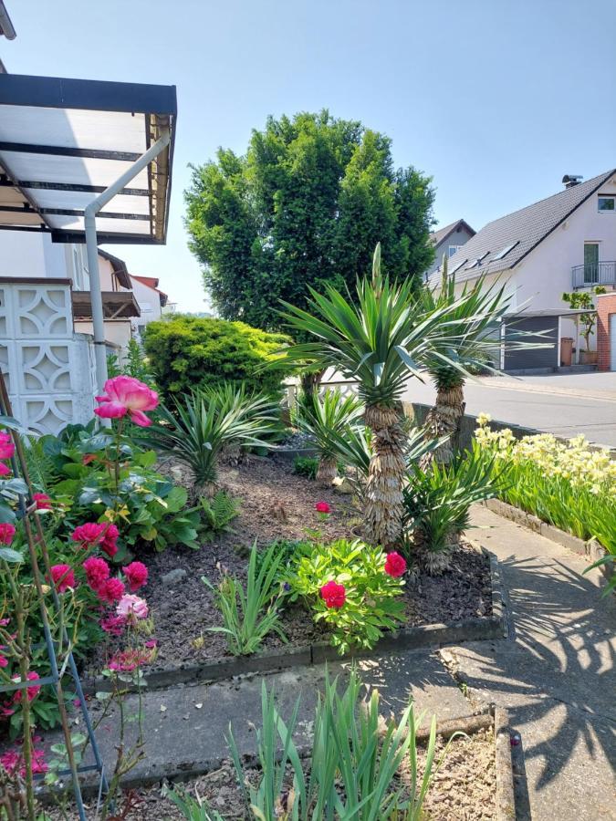 urige gemütliche Ferienwohnung 64 m2 in Dielheim, Nähe Heidelberg Exterior foto